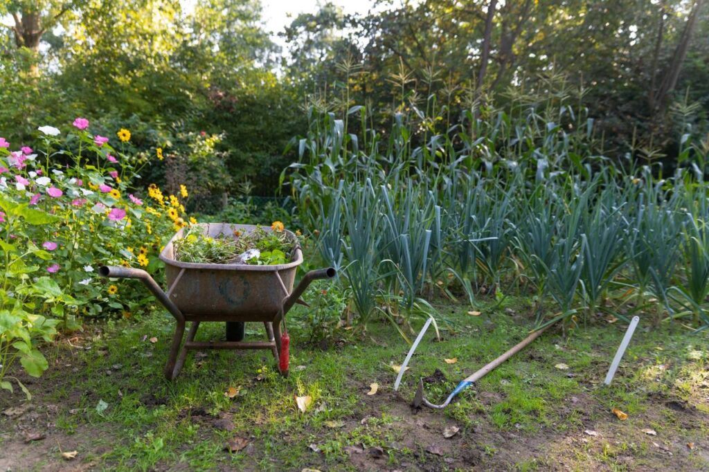 Moestuin huren bij tuinvereniging De Tuinmaat